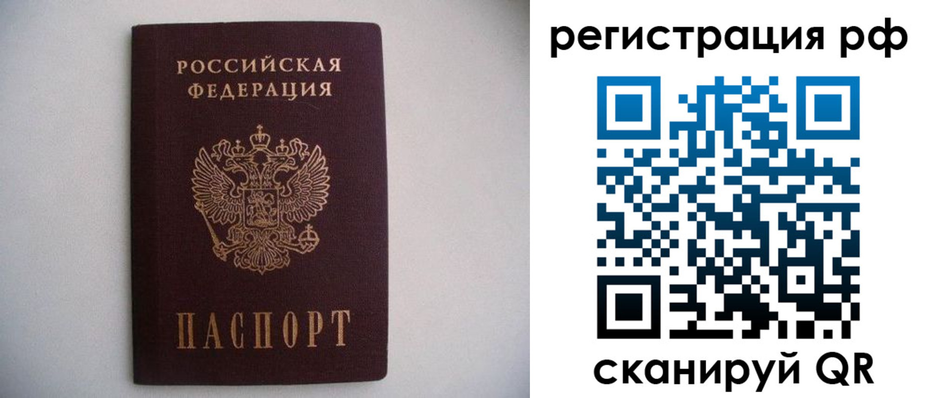 прописка в квартире в Новосибирской области