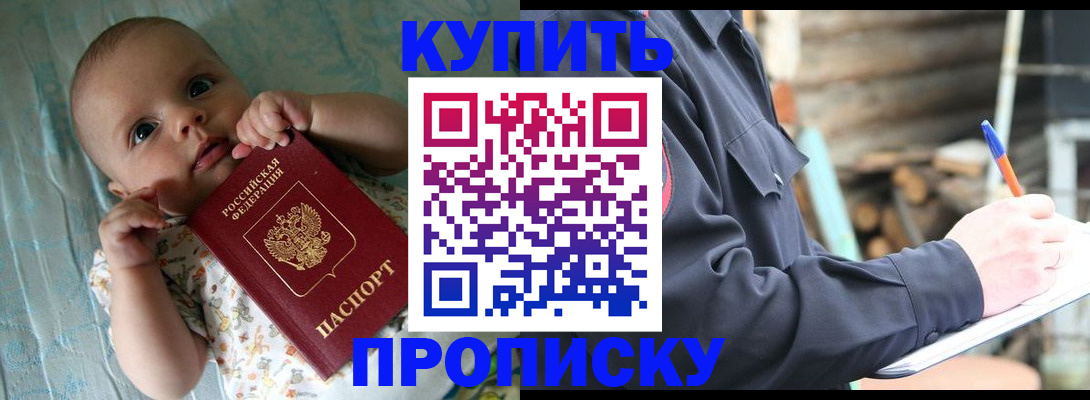 прописка поиск в Новосибирской области
